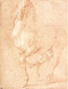 PUGET, Pierre Study of a Horse oil painting